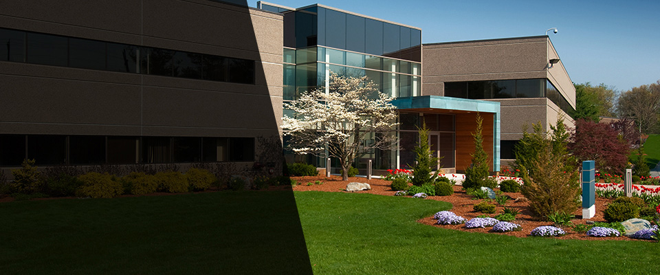 Ocean Isle Beach Landscapers