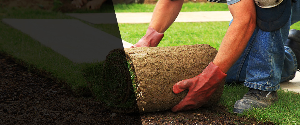 Ocean Isle Beach Landscapers